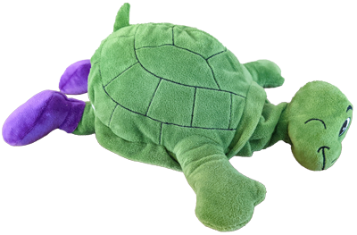 Tucker-Turtle-5(400)