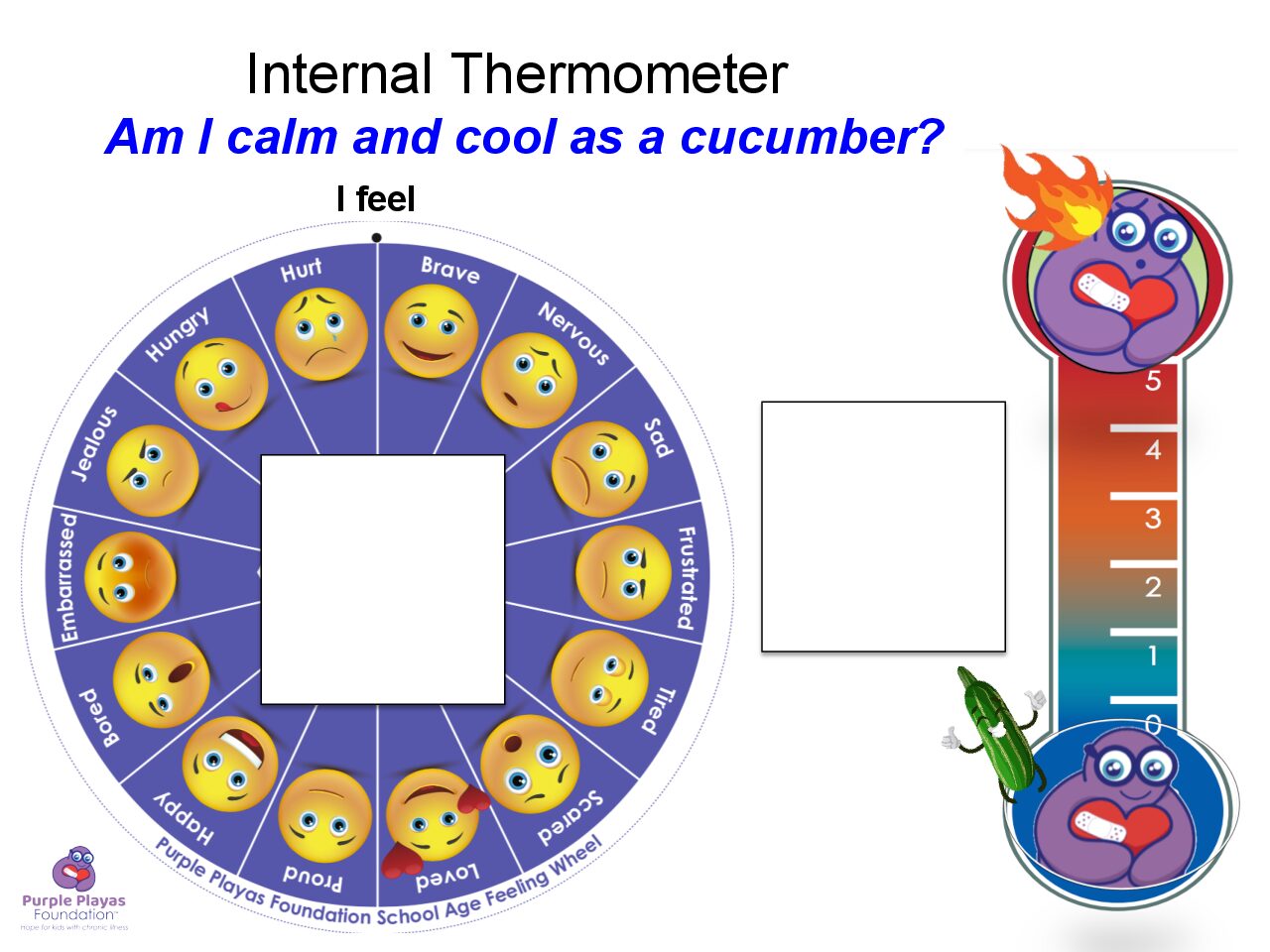 Internal Thermometer Check